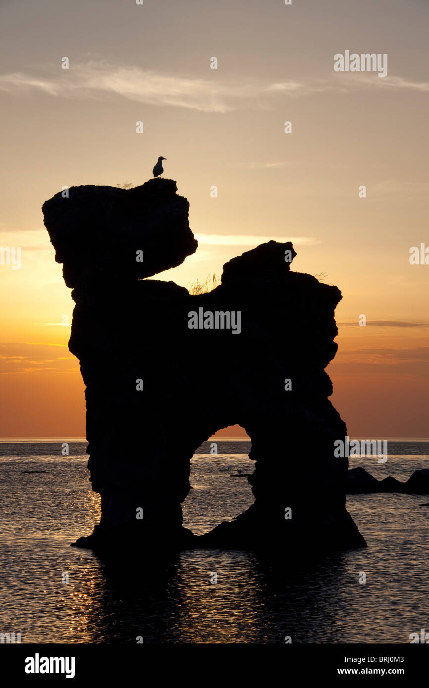 Erodierte Seastacks in Gamla Hamnøya bei Sonnenuntergang in Fårö, Schweden Stockfoto