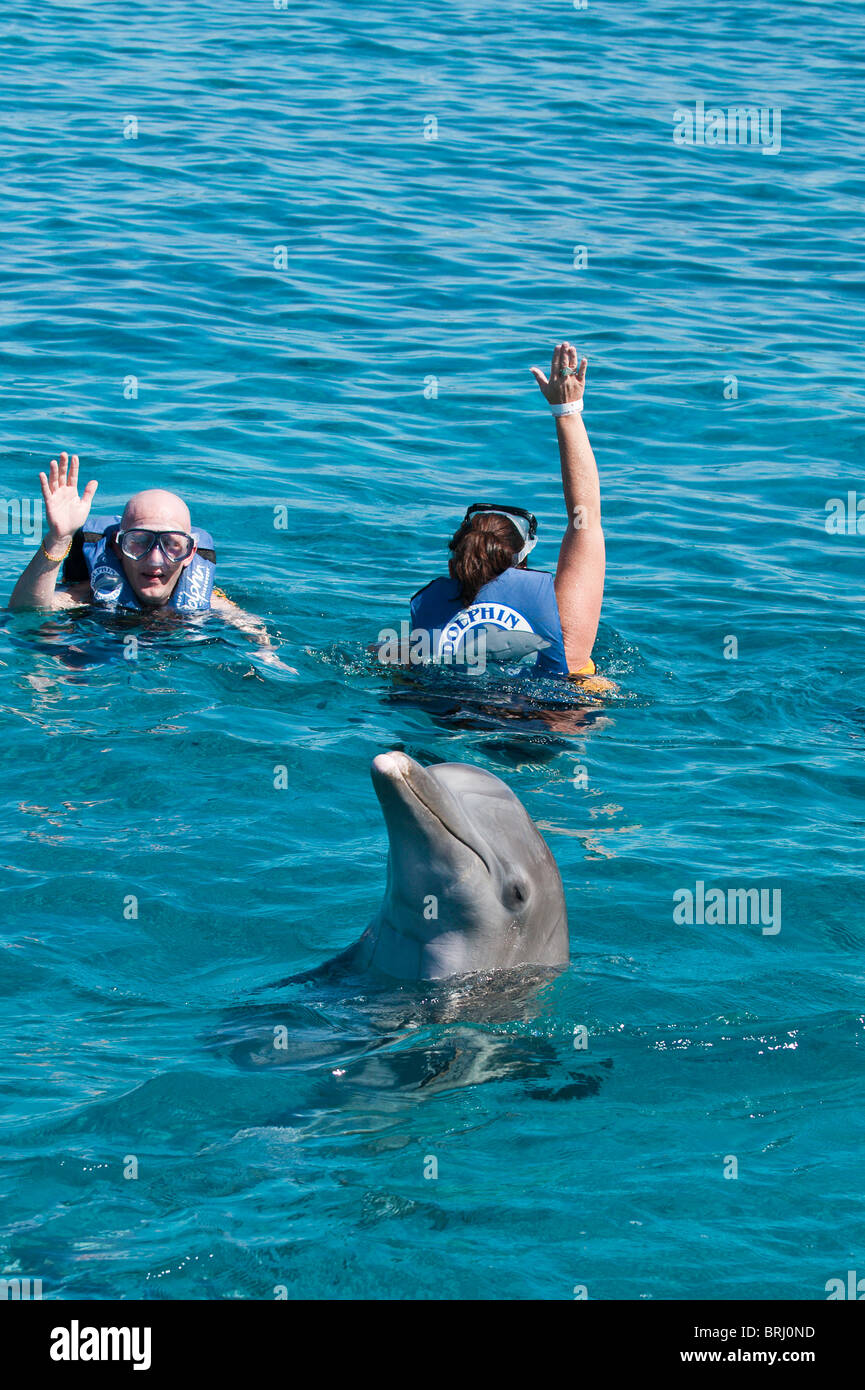 Mexiko, Cozumel. Dolphin Discovery Chankanaab Park, Isla de Cozumel (Insel Cozumel). Stockfoto