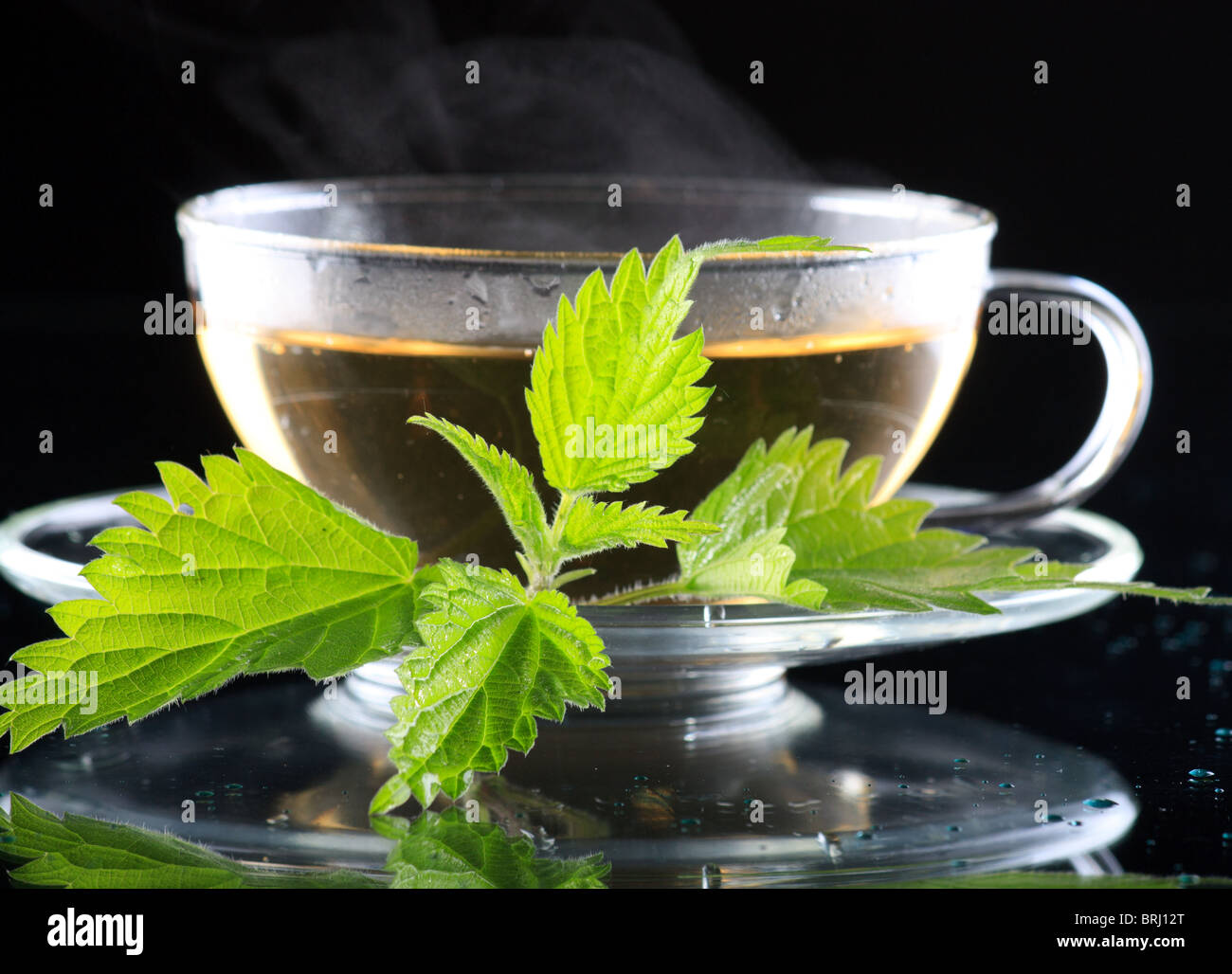 Brennessel Tee Stockfoto