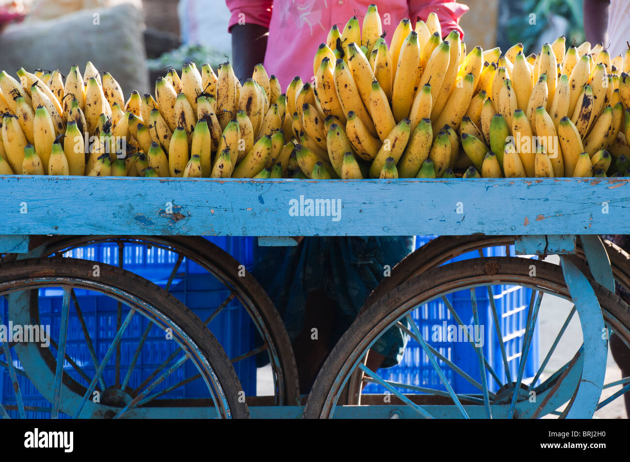 Indische Bananen auf einem Wagen auf der Straße. Puttaparthi, Andhra Pradesh, Indien Stockfoto