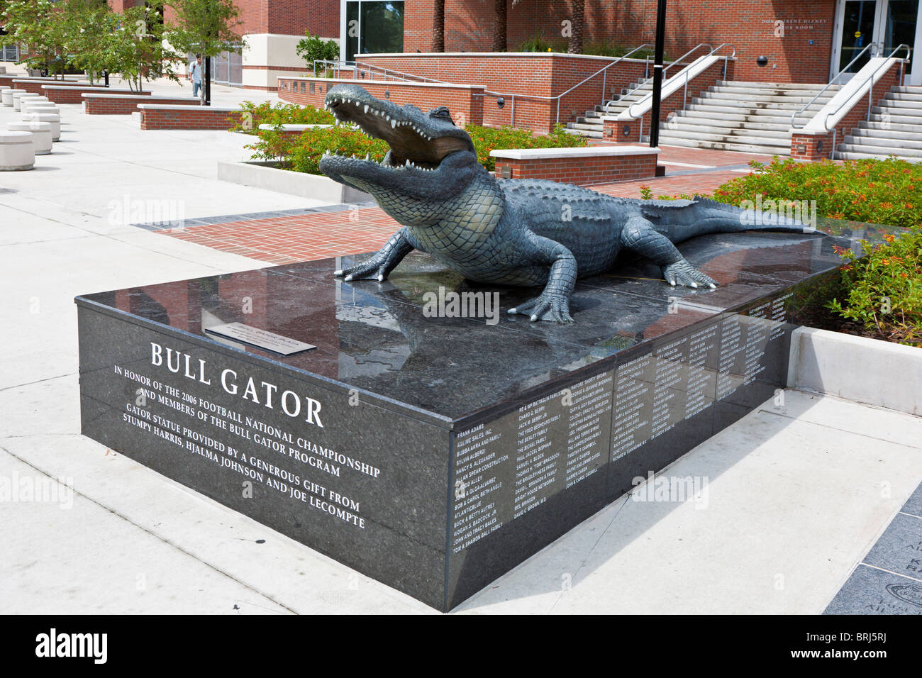 Bull Gator Statue auf Bull Gator Plaza vor dem Heavener Fußball Complex an University of Florida in Gainesville Stockfoto