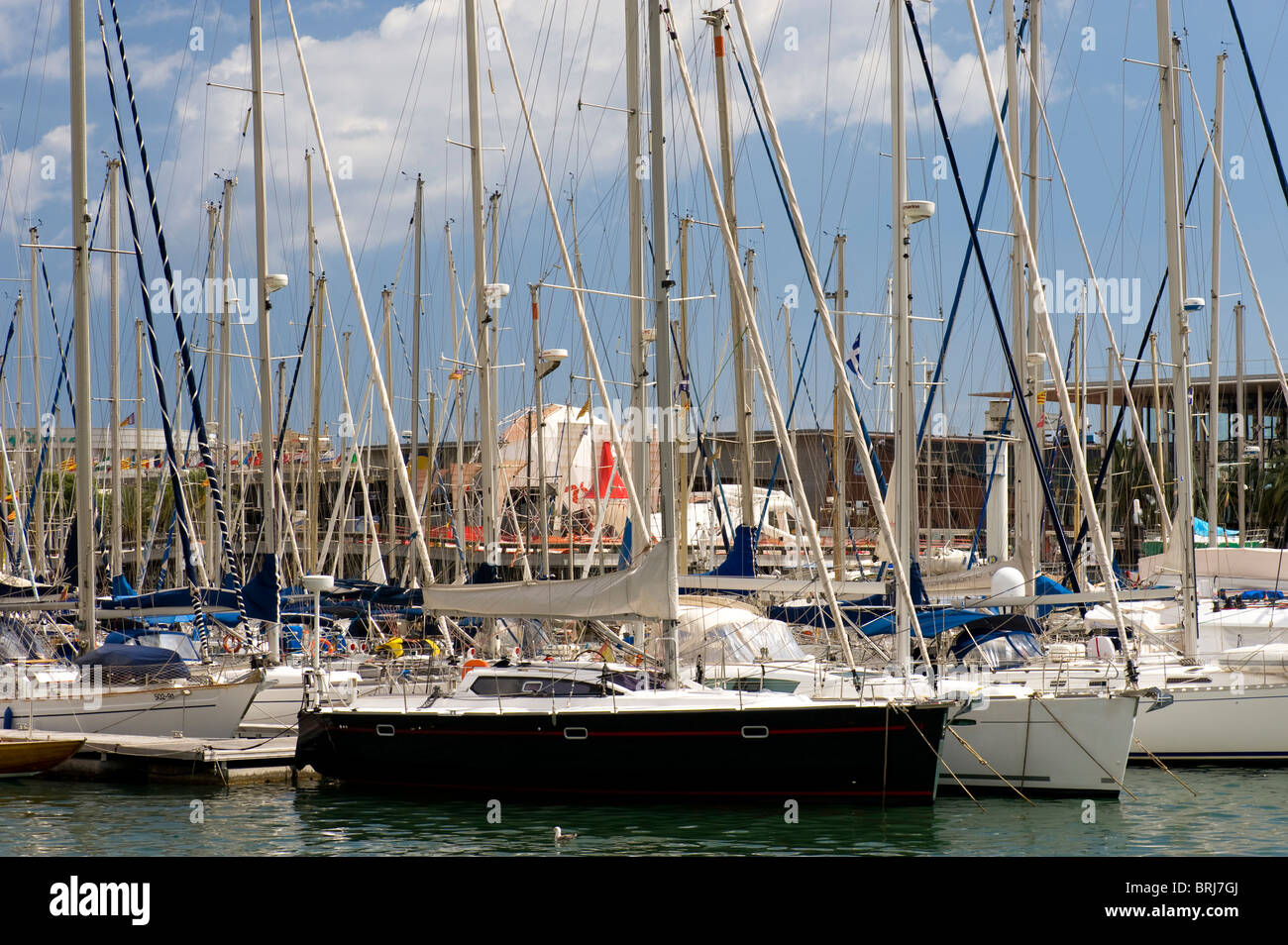 Land Spanien yacht im Mittelmeer Hafen Barcelona Stockfoto
