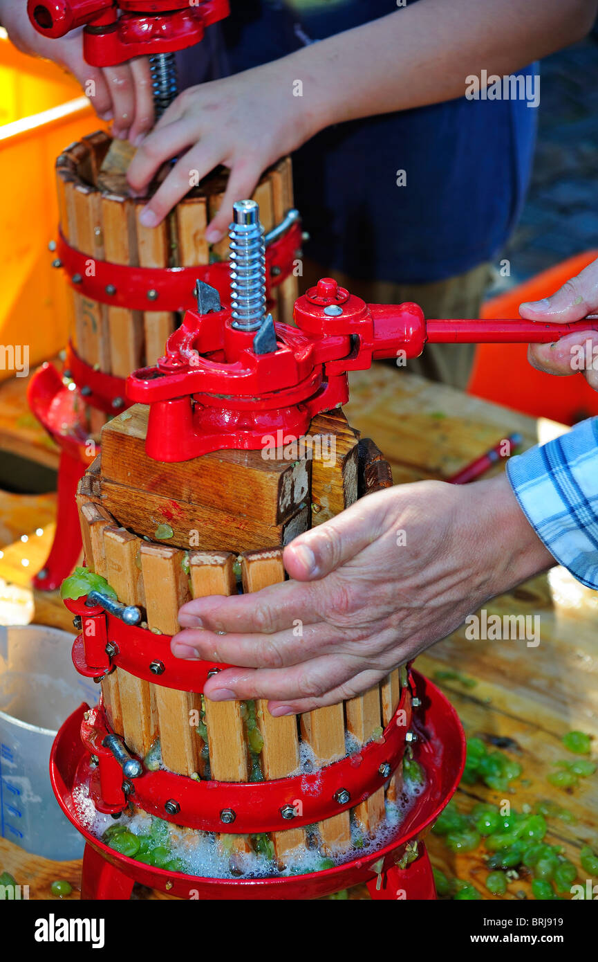 Pressung der Trauben für den Wein bei einem Weinbau Festival in der Schweizer Dorf Fechy Stockfoto