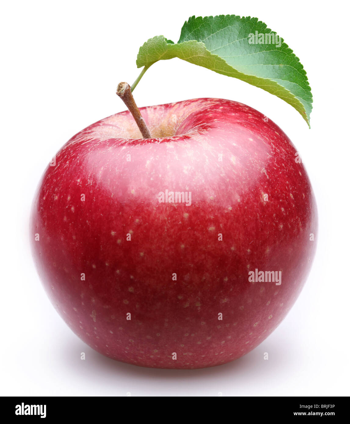 Reifer roter Apfel mit einem Blatt. Isoliert auf weißem Hintergrund. Stockfoto