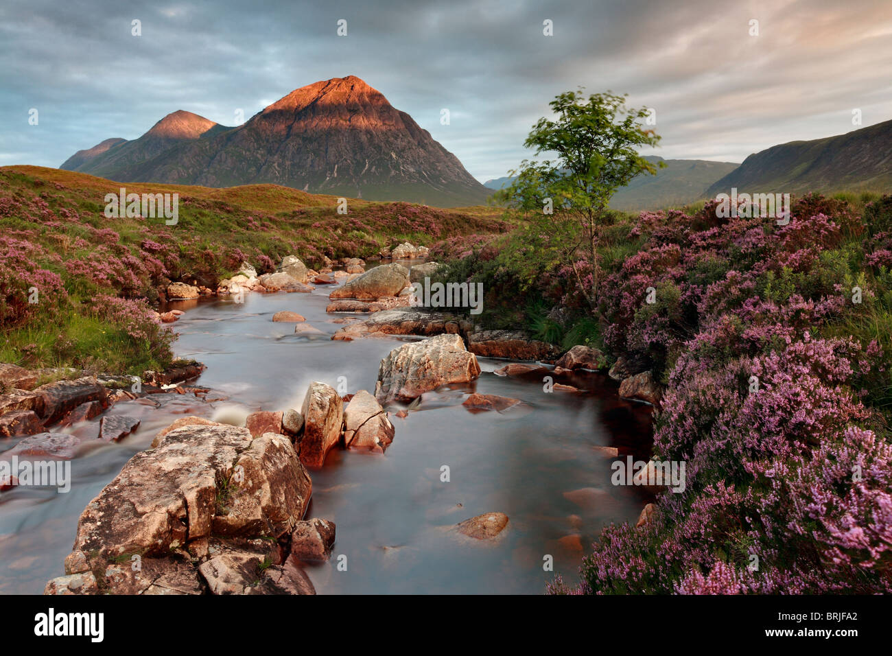 Sunrise trifft die majestätischen hängen von der Buachaille Etive Mor in den Highlands von Schottland Stockfoto
