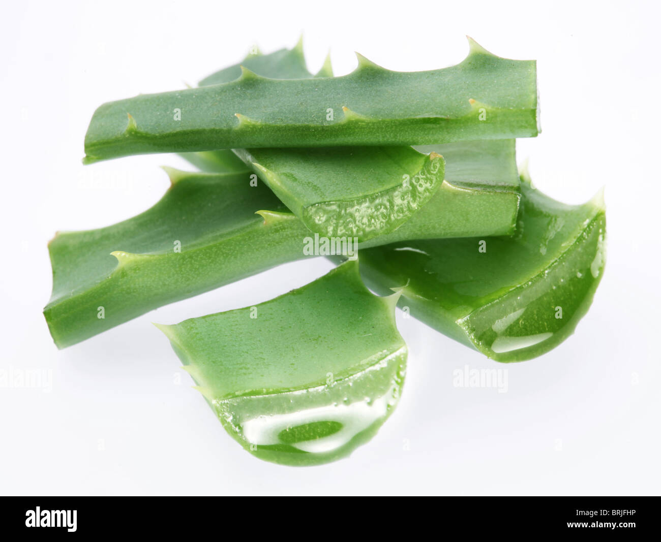 Stücke von Aloe Vera. Isoliert auf weißem Hintergrund. Stockfoto