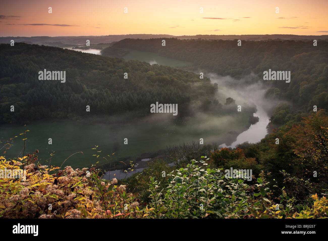 Einem nebligen Herbstmorgen über den River Wye, wie aus Symonds Yat in Gloucestershire Stockfoto