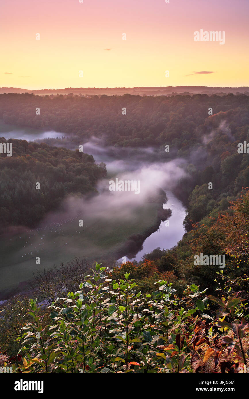 Einem nebligen Herbstmorgen über den River Wye, wie aus Symonds Yat in Gloucestershire Stockfoto