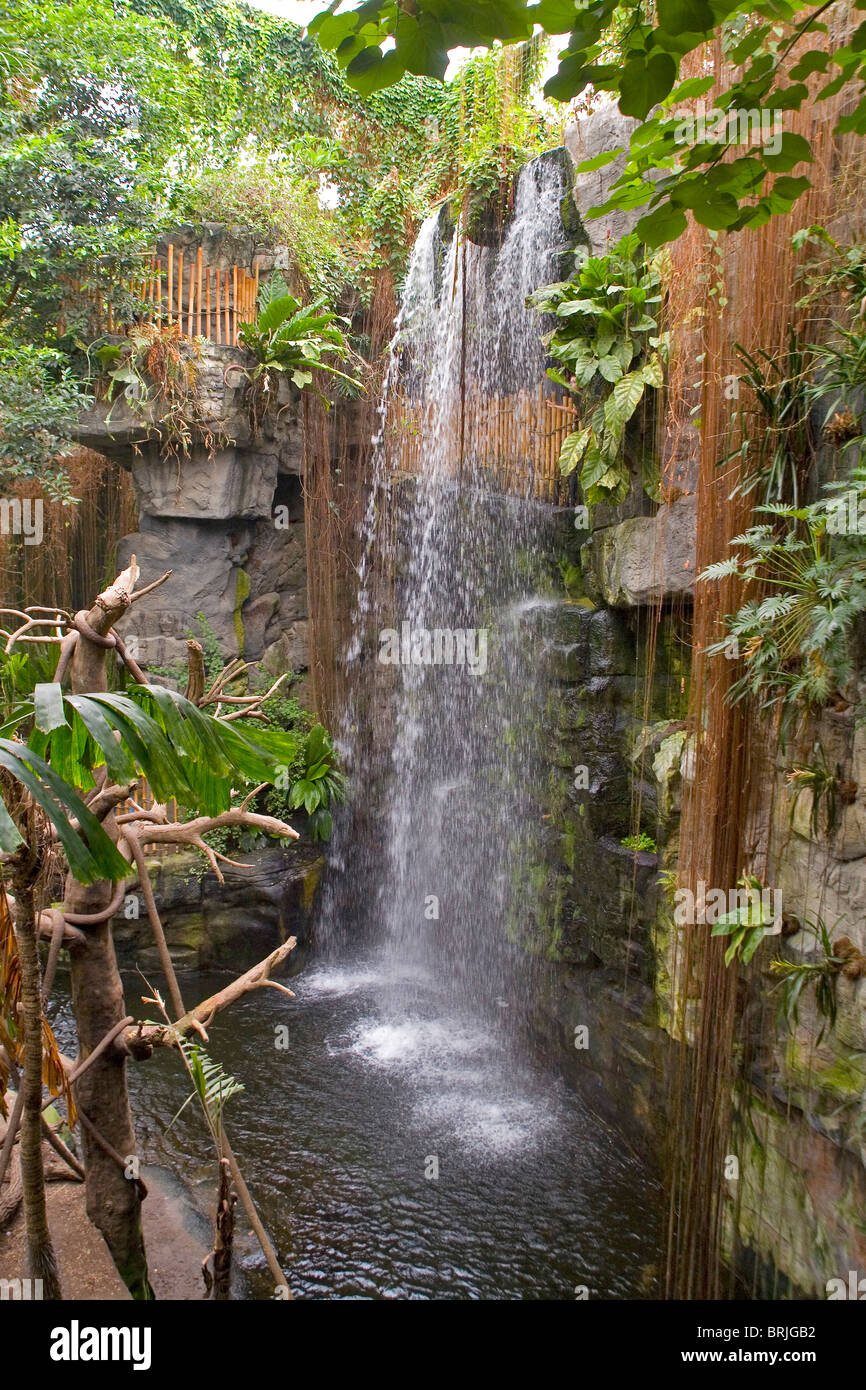 Henry Doorly Zoo - Lied Jungle Stockfoto