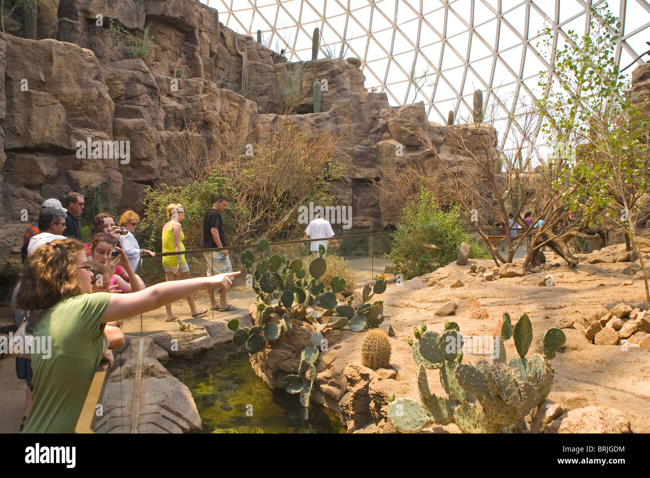 Henry Doorly Zoo - Desert Dome Stockfoto