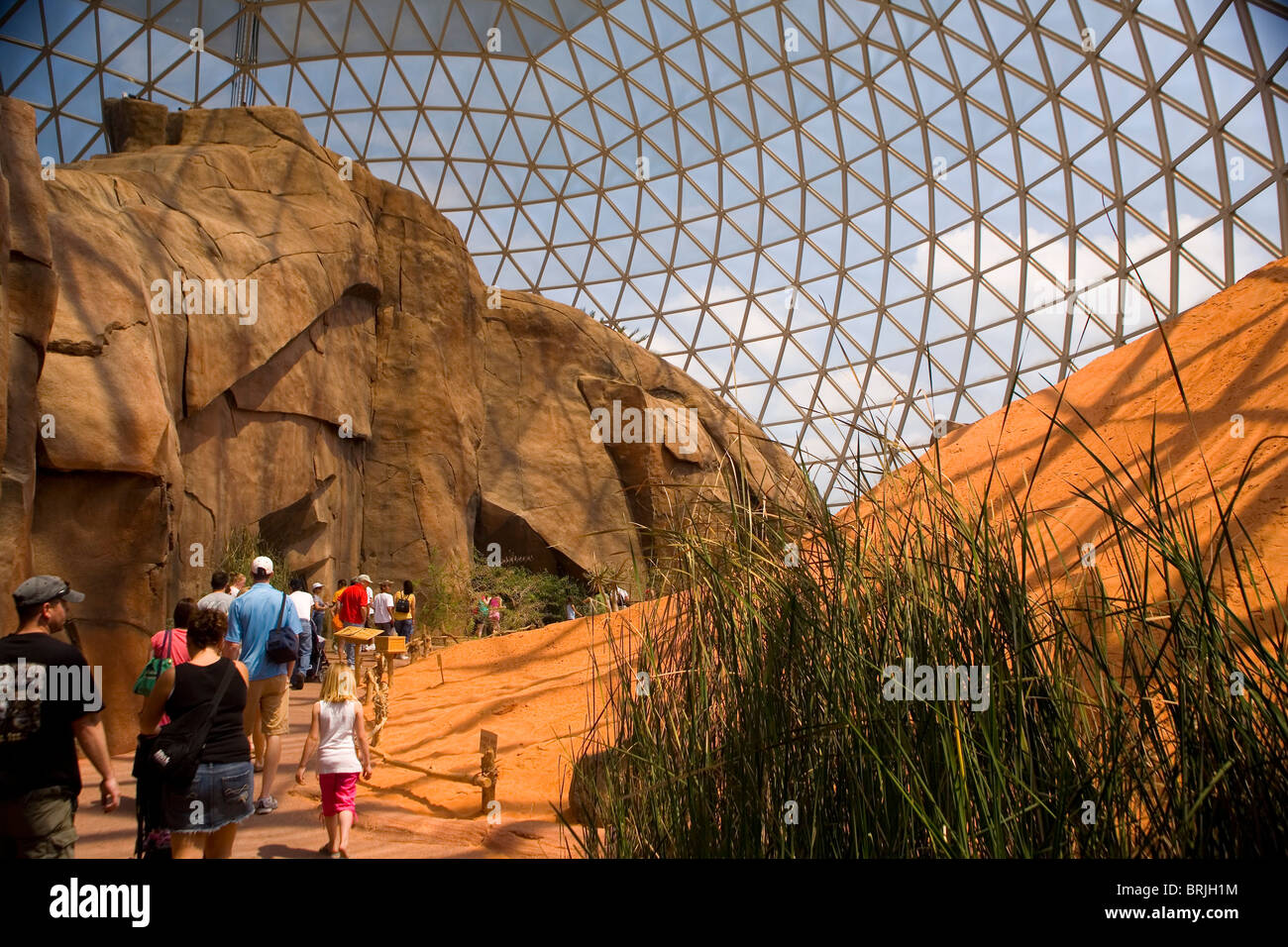 Henry Doorly Zoo - Desert Dome Stockfoto