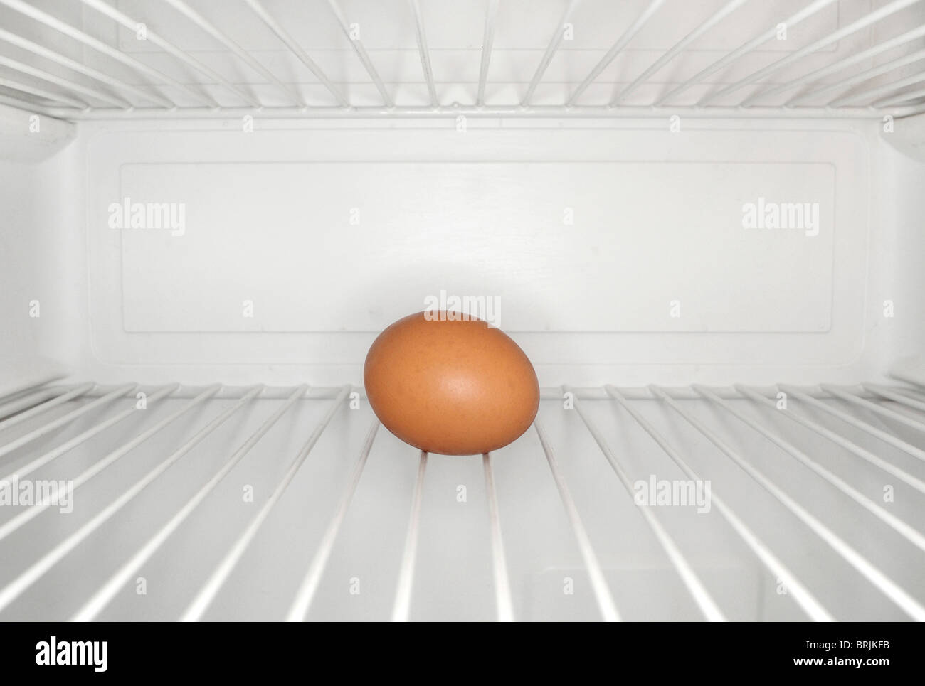 Einziges Ei auf Regal im Kühlschrank Stockfoto