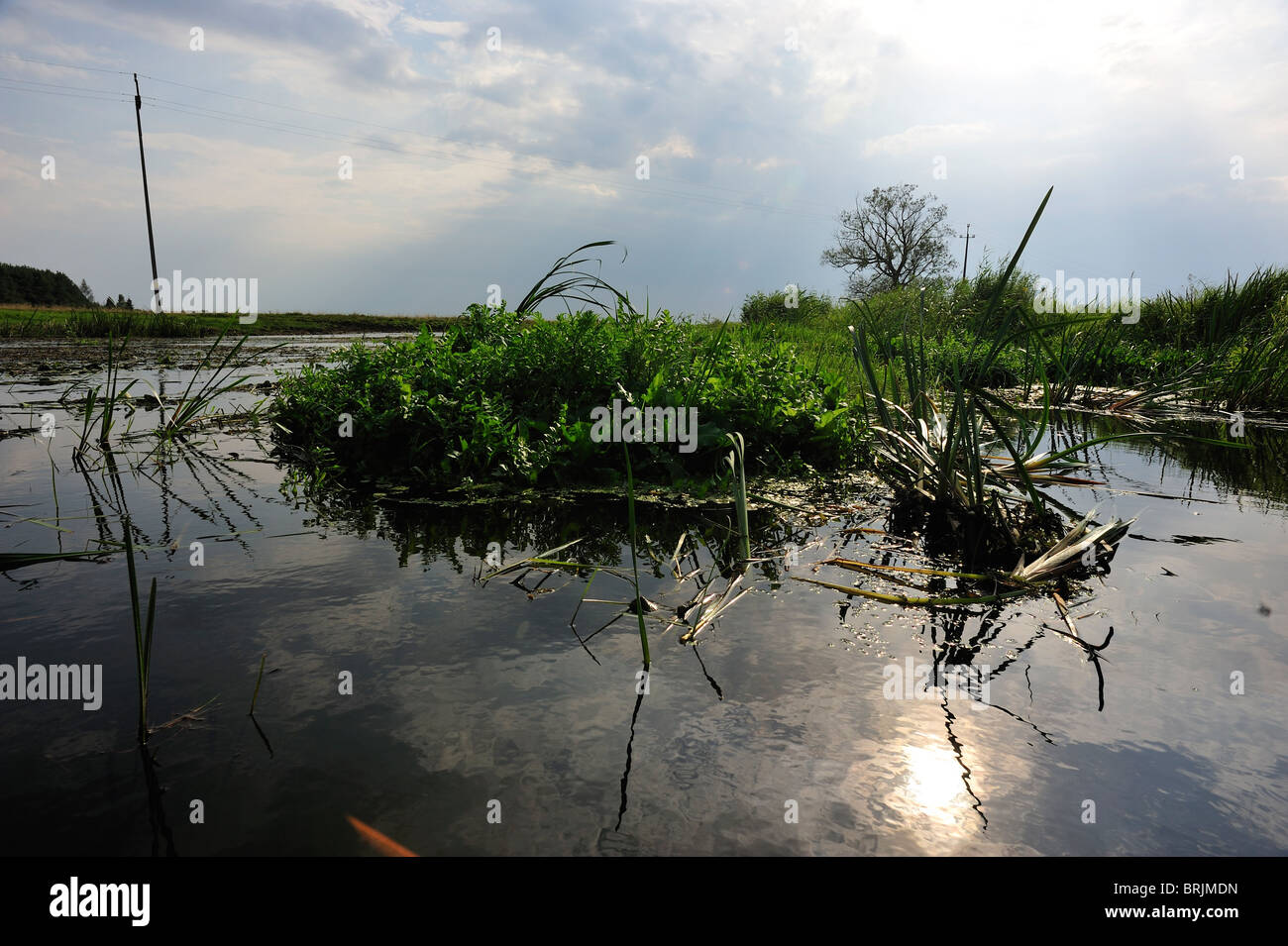 Biebrza River National Park, Stockfoto