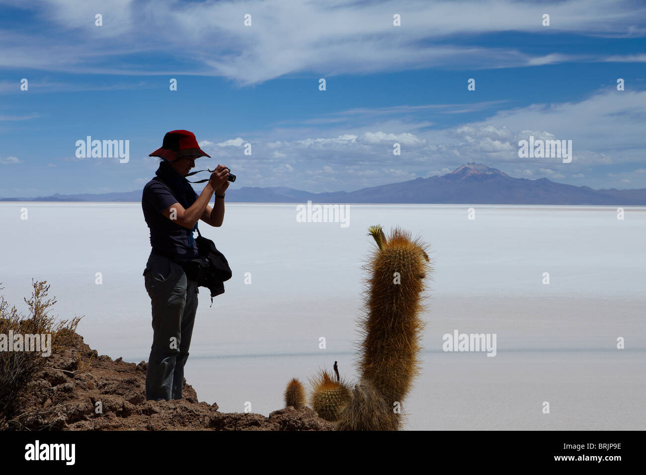 Fotografieren von Kaktus, Salar de Uyuni, Bolivien Stockfoto