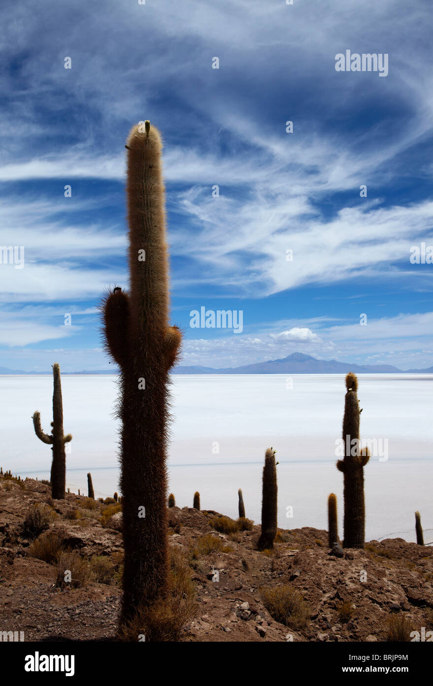 der Salar de Uyuni, Bolivien Stockfoto