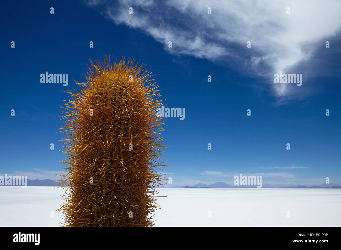 der Salar de Uyuni, Bolivien Stockfoto