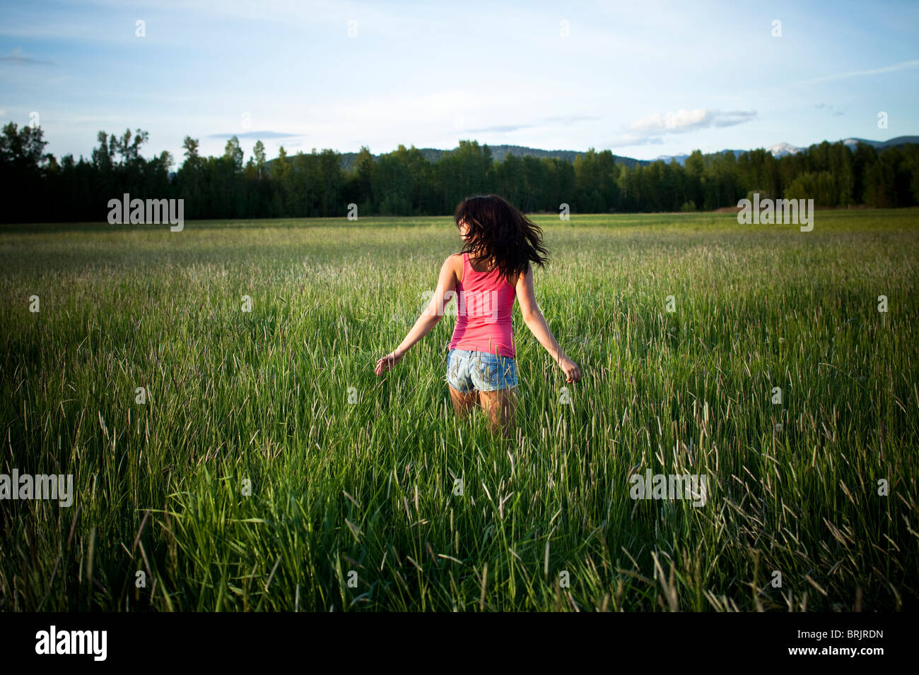 Eine Mädchen wirbelt durch hohe Gräser an einem sonnigen Tag in Idaho. Stockfoto