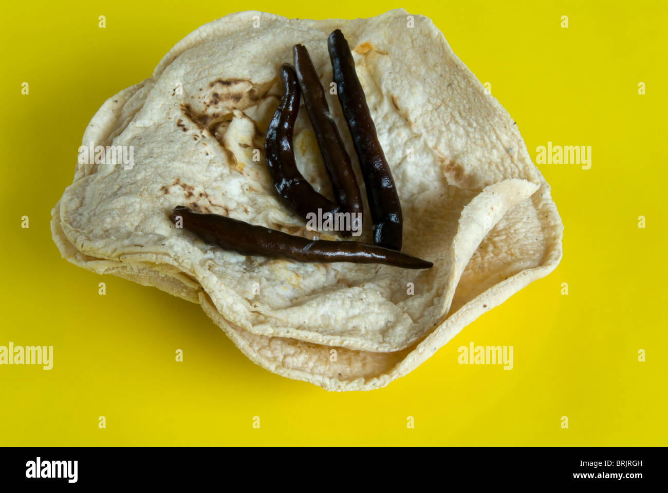 Tacos und chili -Fotos und -Bildmaterial in hoher Auflösung – Alamy