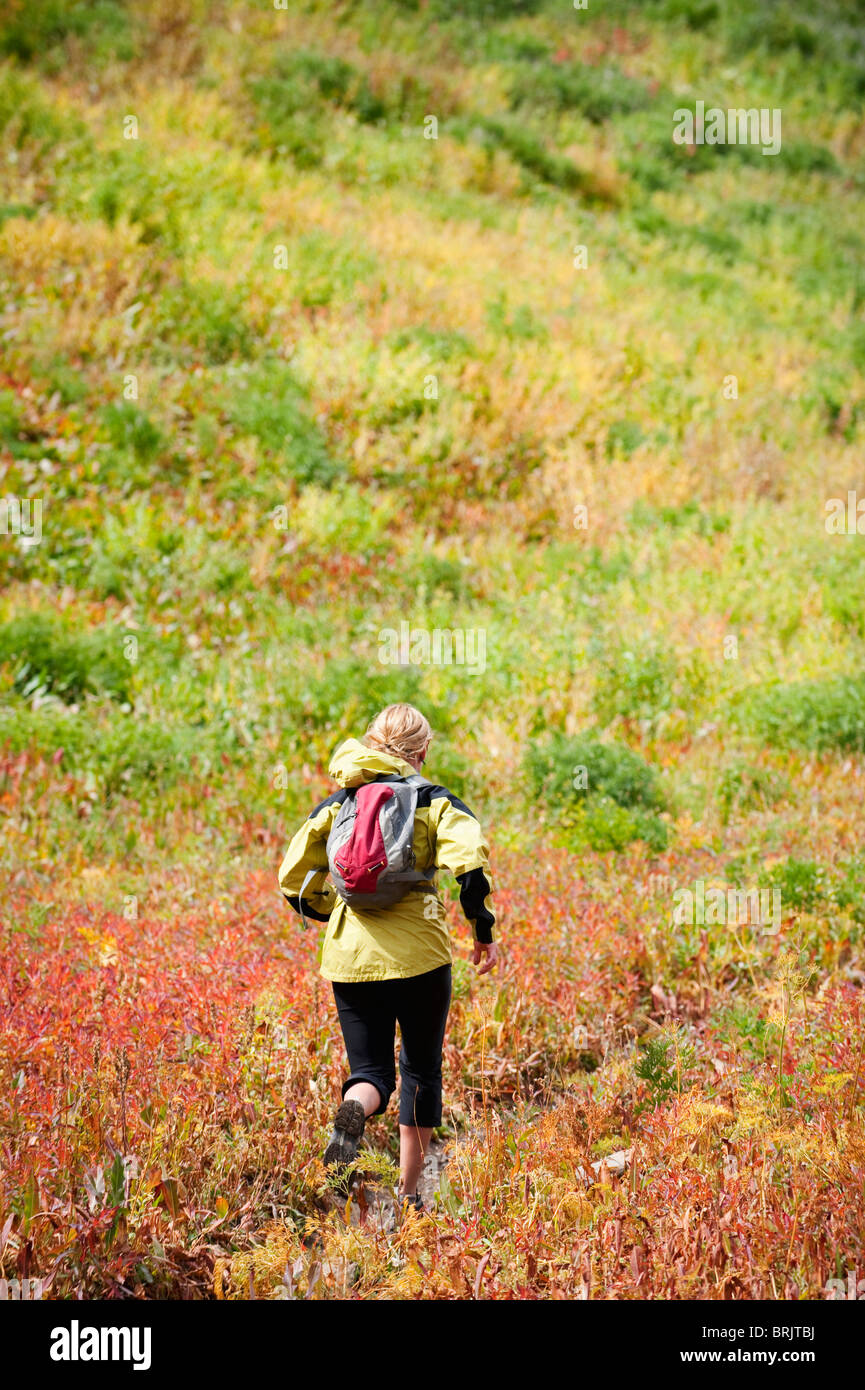 Eine Frau-Trail führt durch ein buntes Feld auf Mount Timpanogos, in der Nähe von Pleasant Grove, UT. Stockfoto