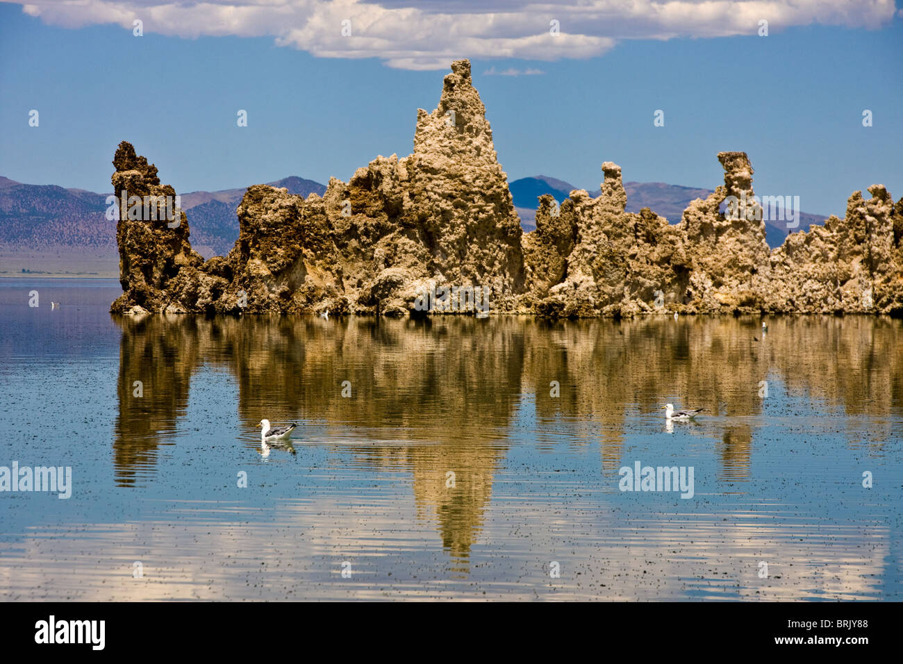 Kalifornischen Mono Lake Stockfoto