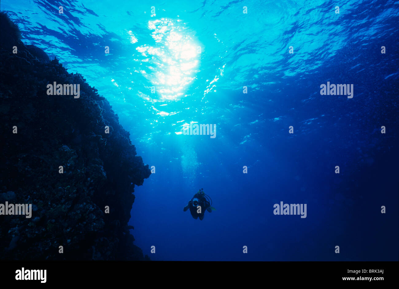 Eine Taucher mit einer digitalen Videokamera untersucht ein tropisches Riff. Stockfoto