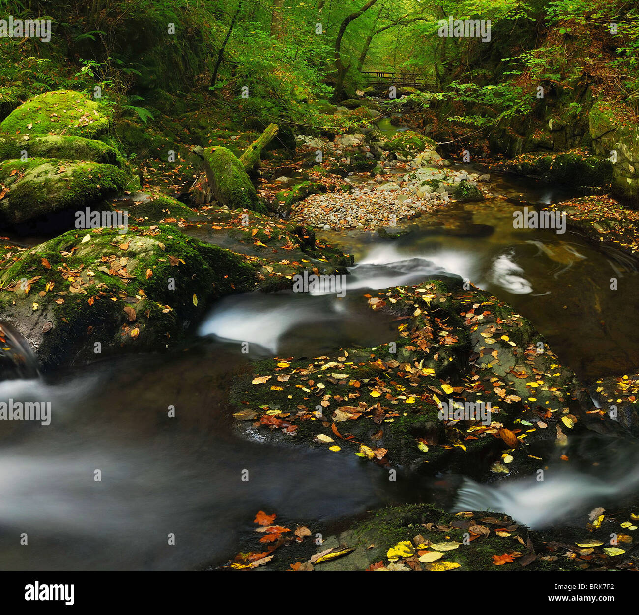 Herbst am Stockghyll in der Nähe von Ambleside im englischen Lake District Stockfoto