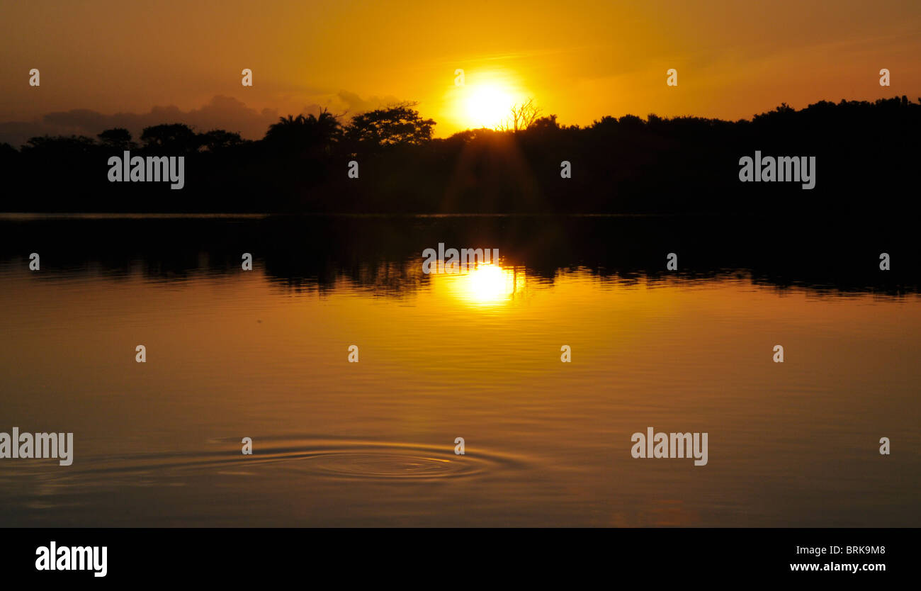 Wassertropfen auf See bei Sonnenuntergang, St. Lucia, Südafrika Stockfoto