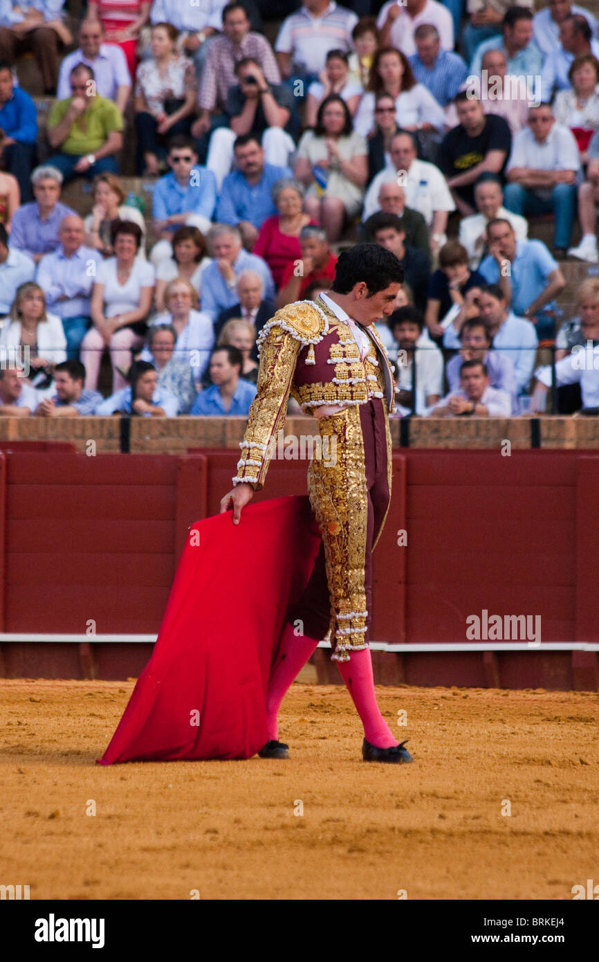 junge Matador im Stierkampf Szene in Sevilla, Spanien Stockfoto