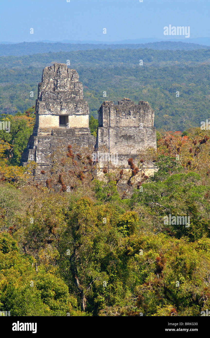 Tempel I (Tempel des großen Jaguar) und Tempel II (Tempel der Masken) in Tikal, El Petén, Guatemala Stockfoto
