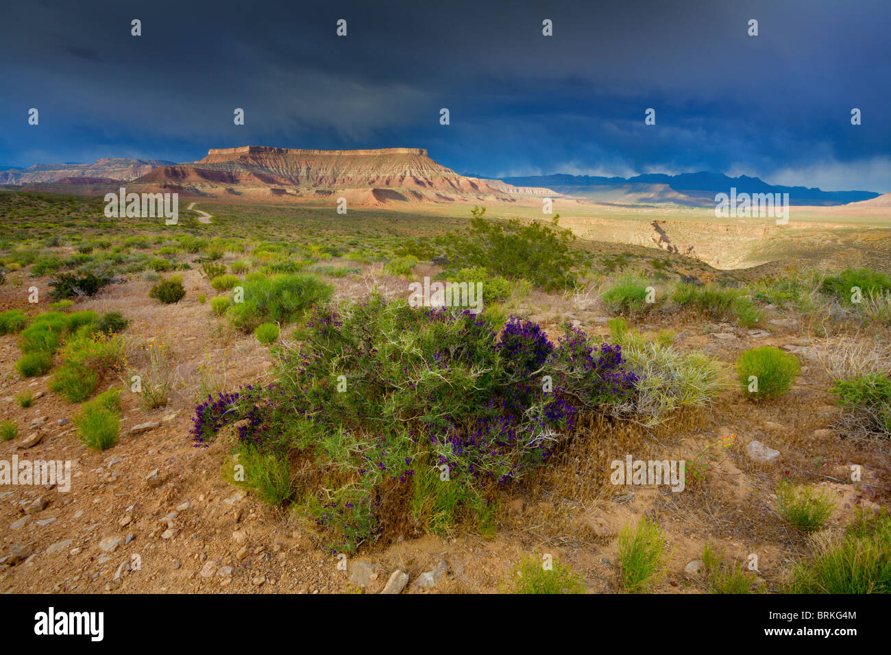 Utah-Landschaft Stockfoto
