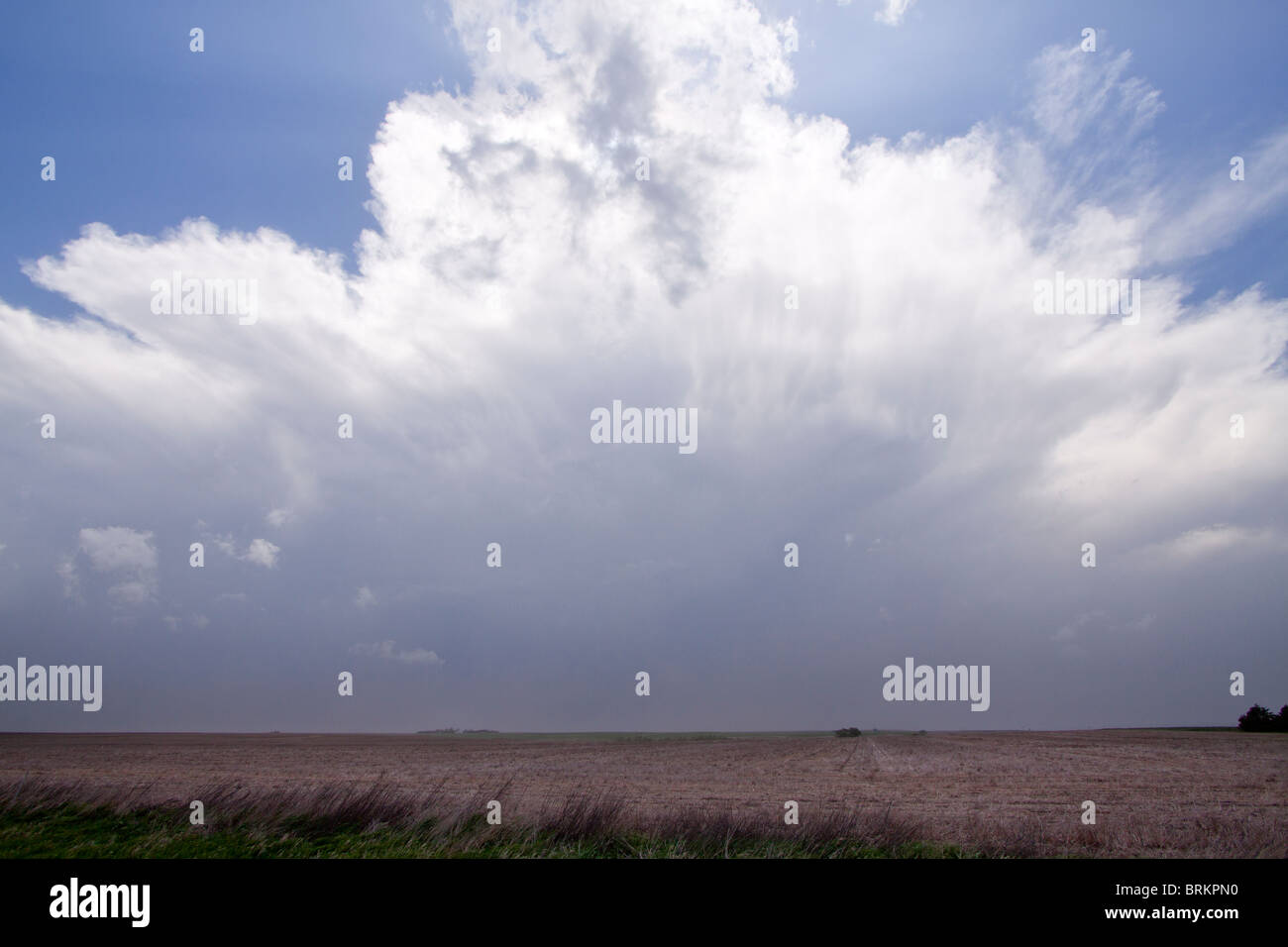 Einem fernen Gewitter. 24. Mai 2010. RF Stockfoto