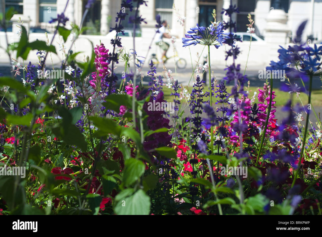 Stadt-Blumenbeet Stockfoto