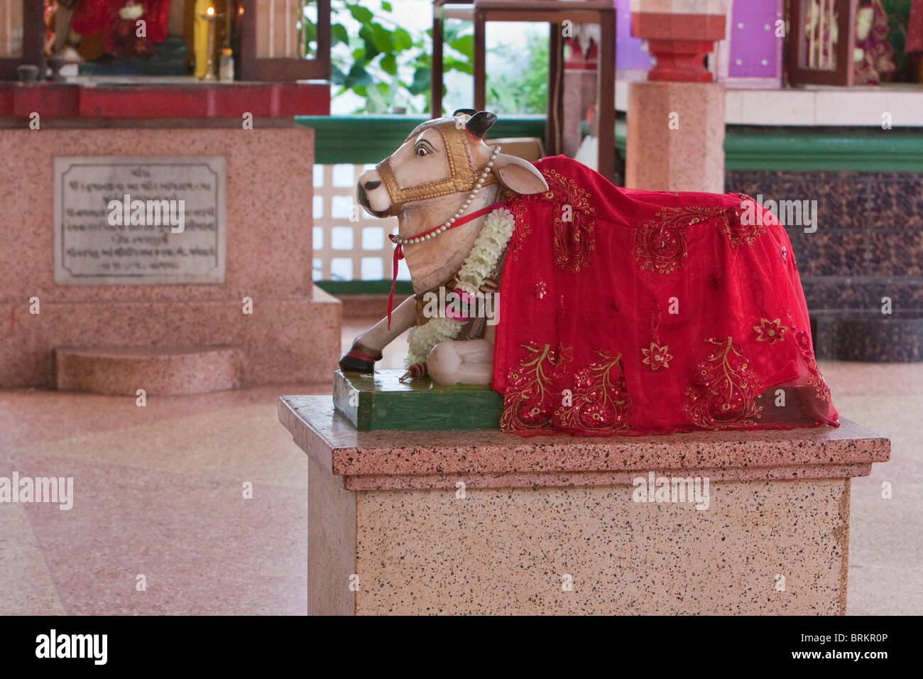 Stone Town, Sansibar, Tansania. Shree Shiv Shakti Mandir hinduistischer Tempel, gegründet 1958. Kuhstatue. Stockfoto
