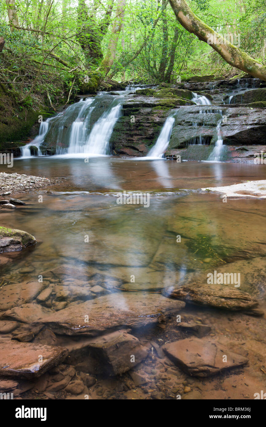 Wasserfälle am Fluss Ennig im Pwll y Wrach Naturreservat in der Nähe von Talgarth, Brecon Beacons National Park, Powys, Wales. Stockfoto