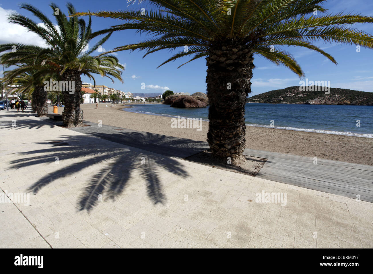 Palm-Baum Schatten in Mazarron. Spanien Stockfoto