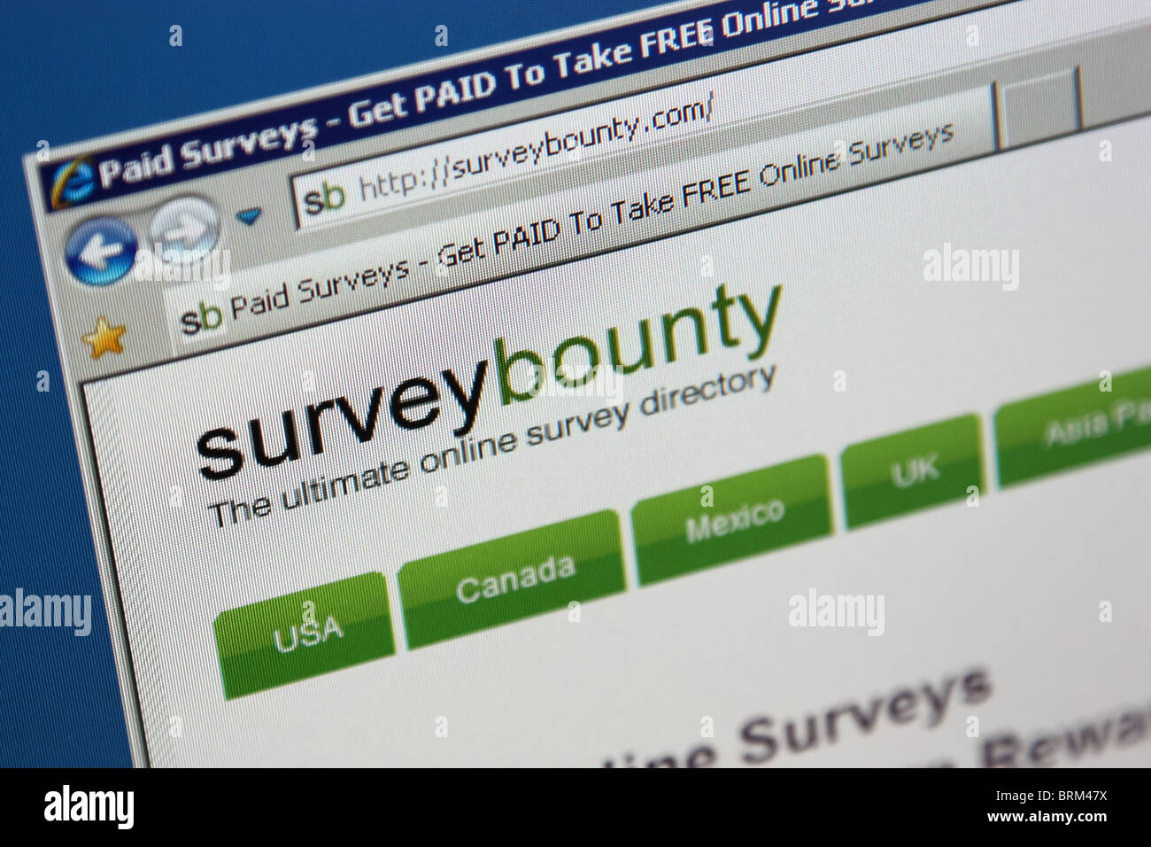 Online-Umfrage surveybounty.com Stockfoto