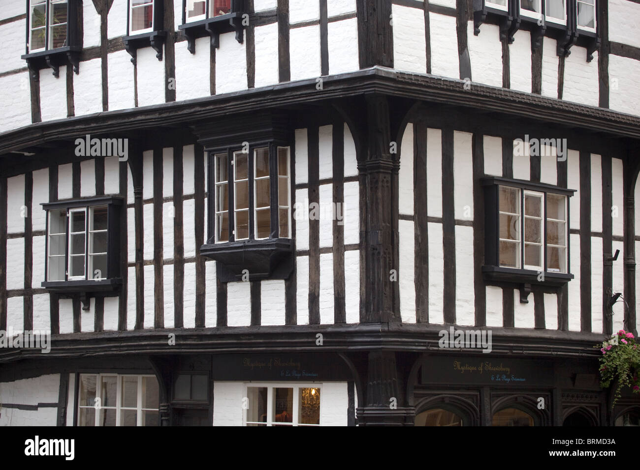 Halbe Fachwerkhaus Gebäude Shrewsbury UK Stockfoto