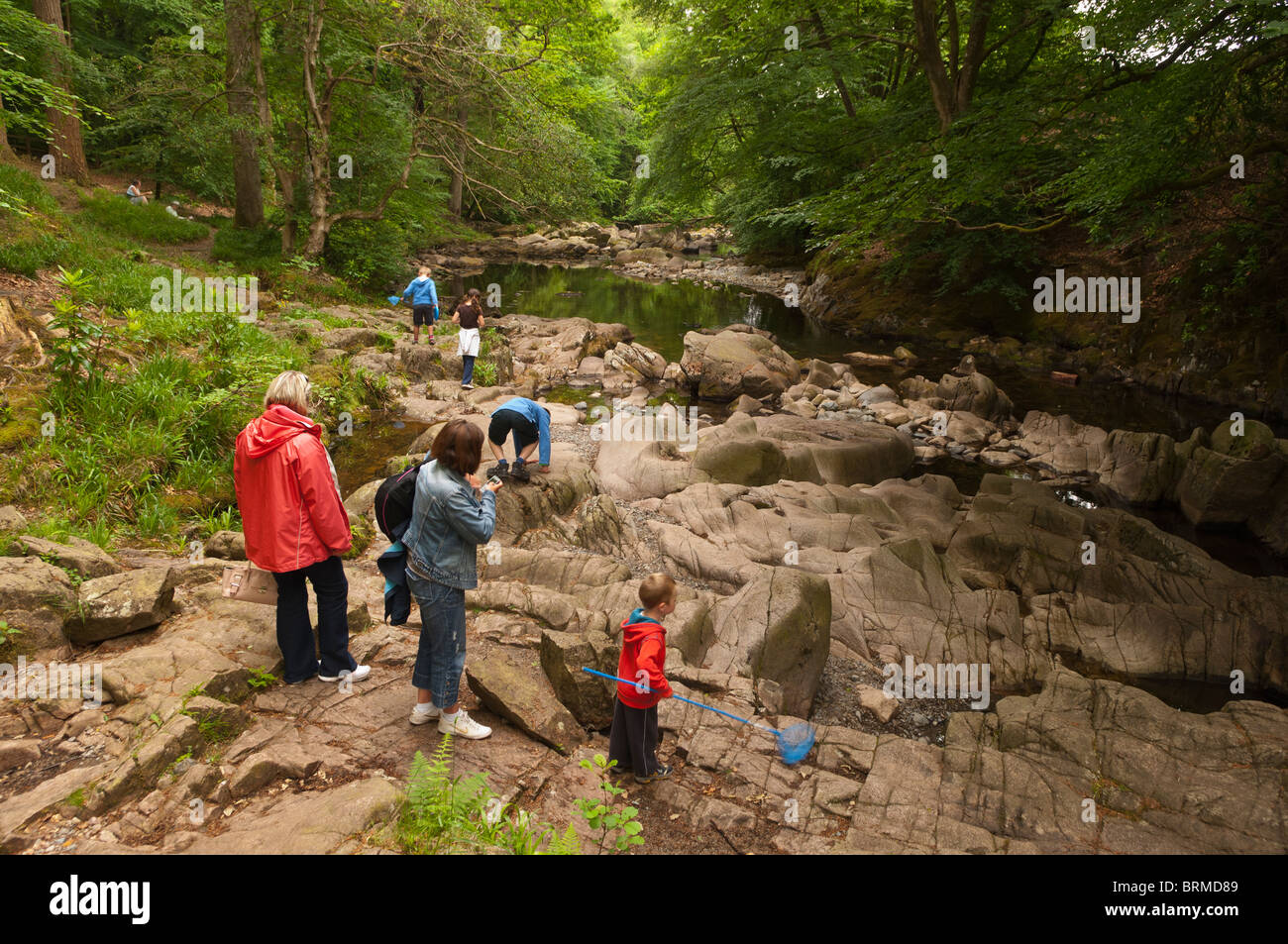 Menschen bei der Dampf in den Wäldern am Stanley Ghyll in Eskdale, Cumbria, England, Großbritannien, Uk Stockfoto