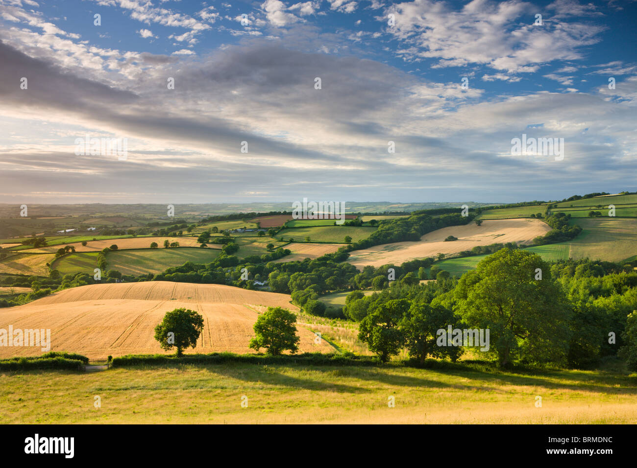 Schönen Himmel über Sommer Landschaft, Raddon Hill, Crediton, Devon, England. Sommer (Juli) 2010. Stockfoto