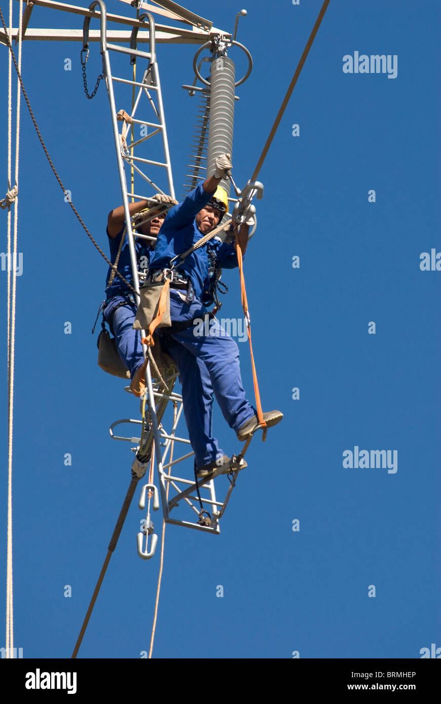 Techniker arbeiten an Hochspannungsleitungen während Leiter hängend Stockfoto