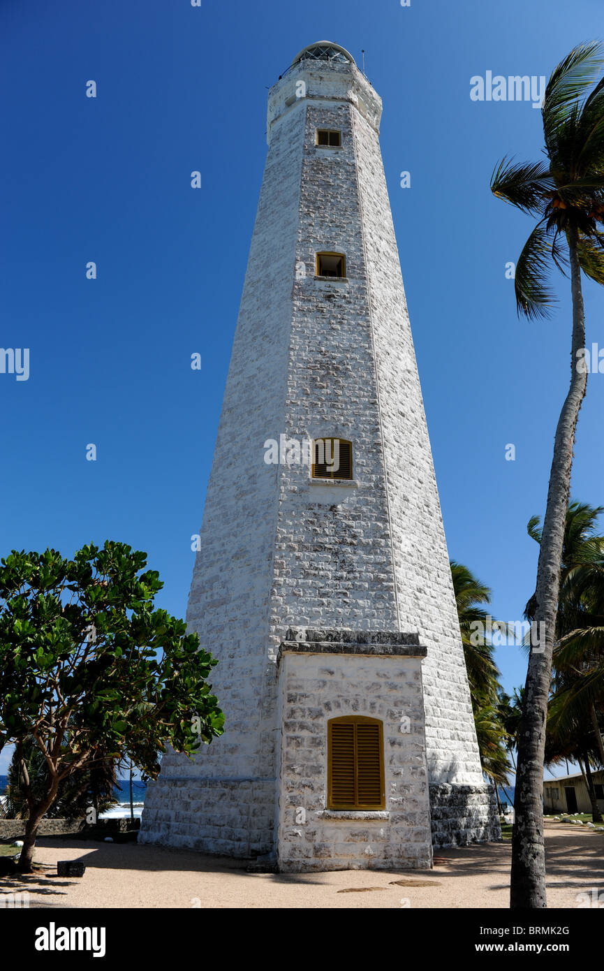 Leuchtturm zwischen Palmen Stockfoto