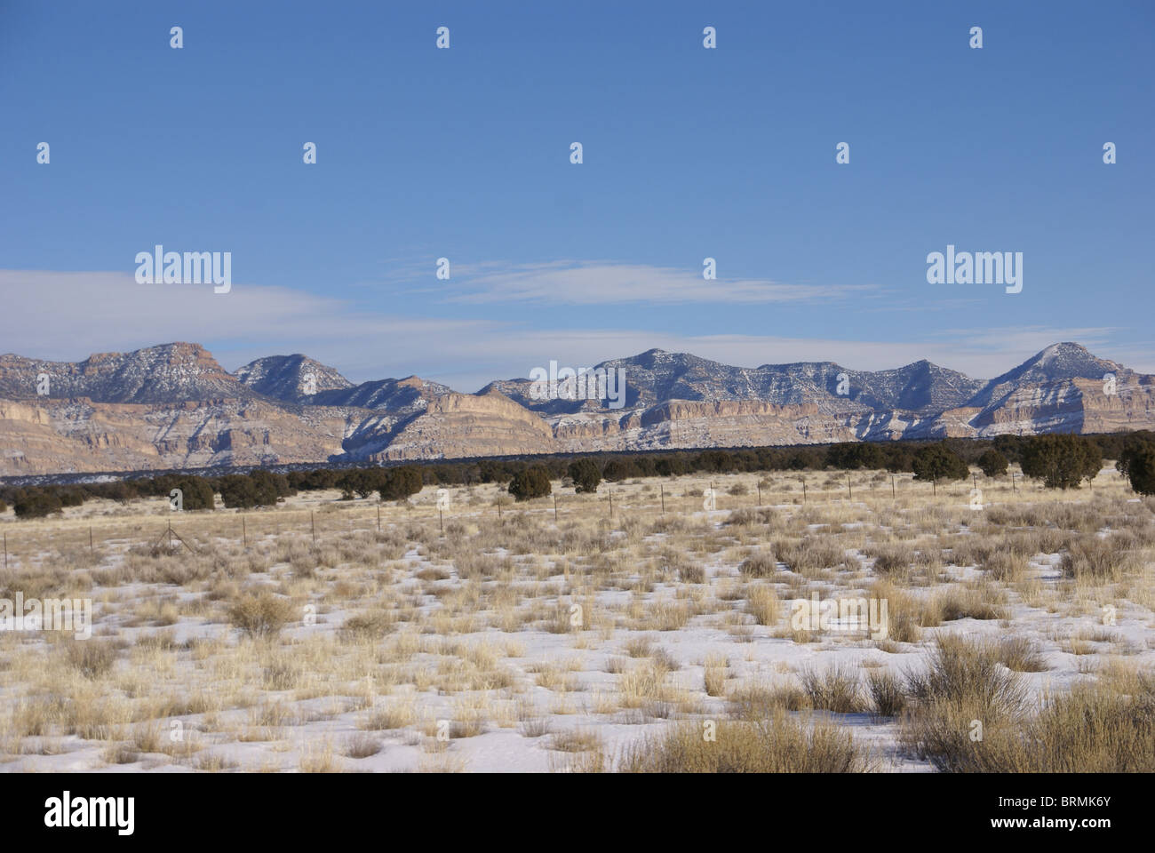Buchen Sie Klippen, am frühen Abend, Eastern Utah, Rocky Mountains Stockfoto