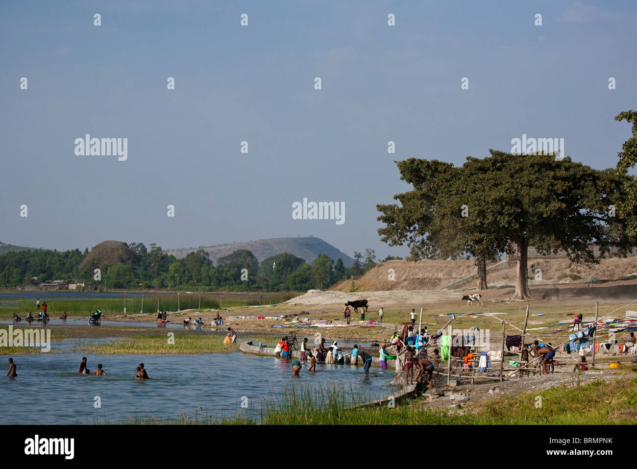 Einheimischen versammelten sich am Ufer des Sees Awassa ihrer täglichen Arbeit zu waschen und Tränken von Vieh zu tun Stockfoto