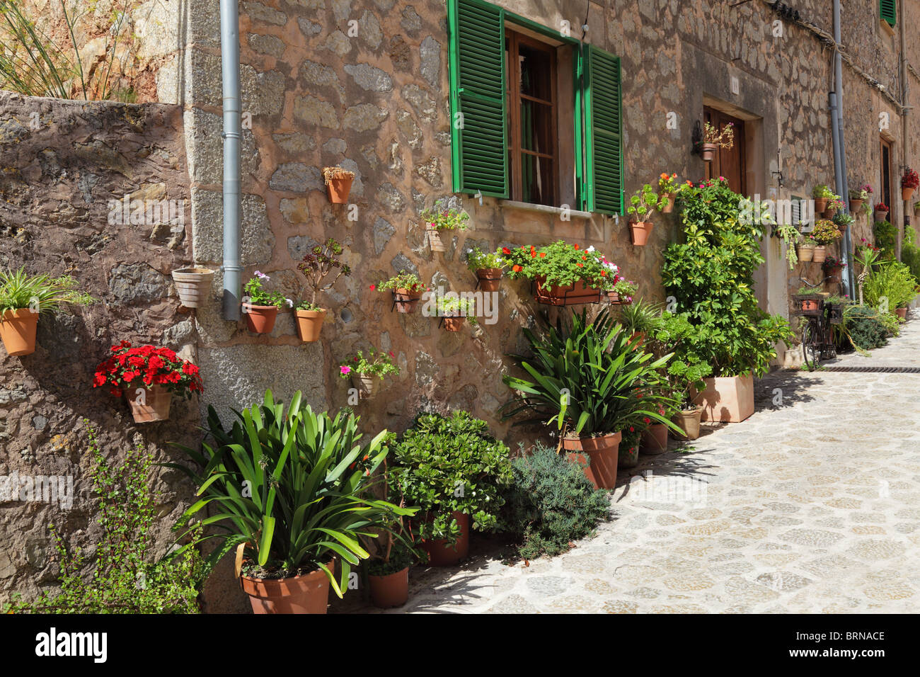 Spanien, Mallorca, Valdemossa, Gasse, Blumen in Blumentöpfen von gebrannten claies Stockfoto