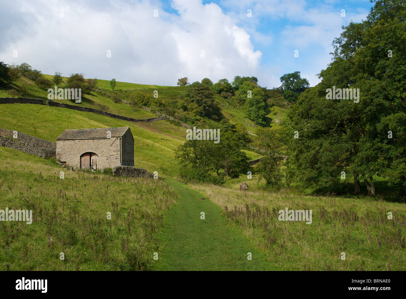 Landschaft mit einer stillgelegten Scheune neben Skyreholme Beck in der Nähe von Parcevall Halle nr Wharfedale North Yorkshire Stockfoto