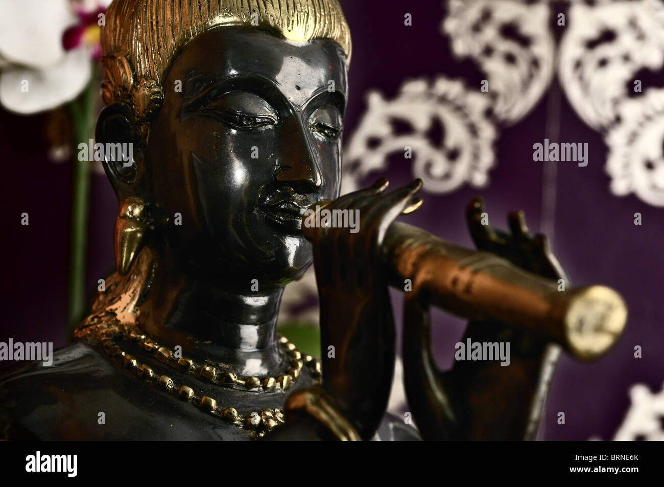 Hindu-Statue Bronze Eisen religiöse Religion elegante Figur Figur Symbol Reflexion spiegelnde reflektieren Stockfoto