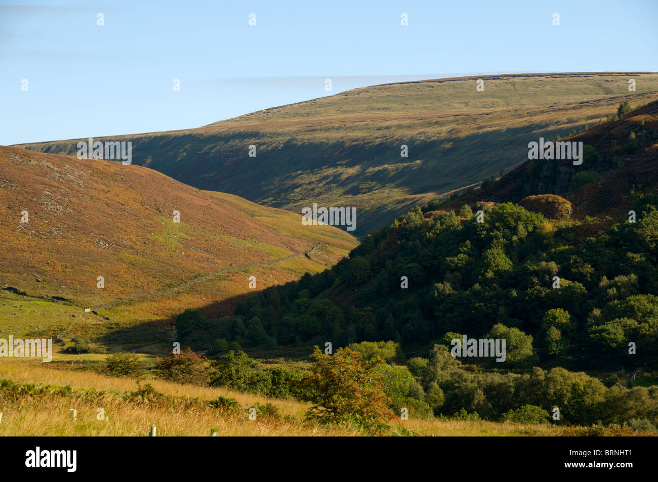 Westend Moos und das Tal von Crowden Bächlein Crowden in Longdendale, Peak District, England, UK Stockfoto