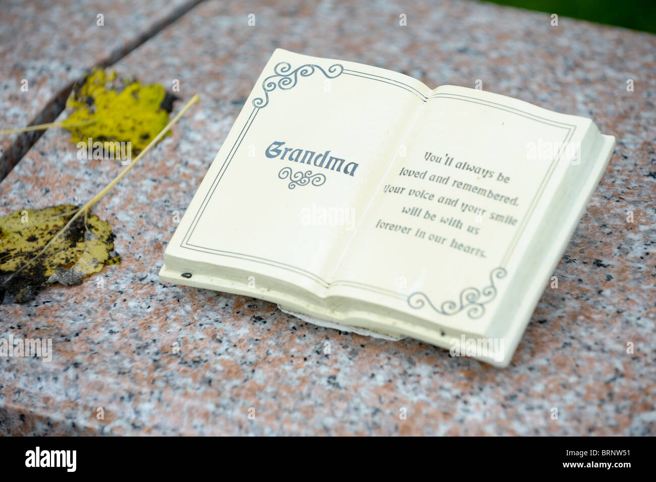 Stein-Buch mit dem Wort Oma drauf an einem Denkmal in einem Friedhof mit zwei Herbstlaub auf dem geschnitzten Marmor Stockfoto