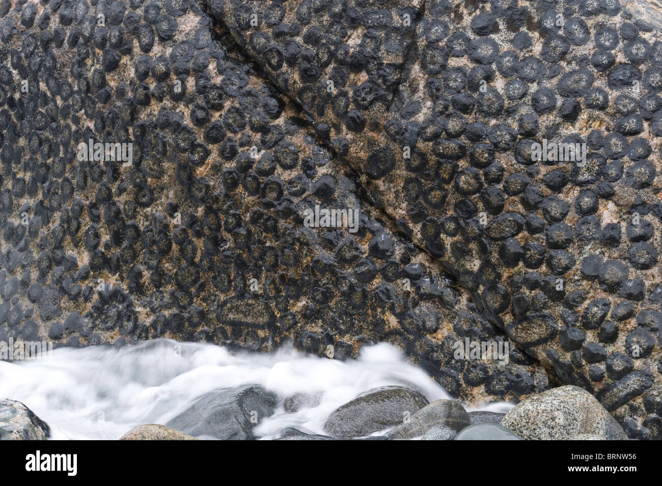 Felsvorsprung von endständigen Granit Naturschutzgebiet, 15km nördlich von Caldera, Pazifikküste, Chile, Südamerika Stockfoto