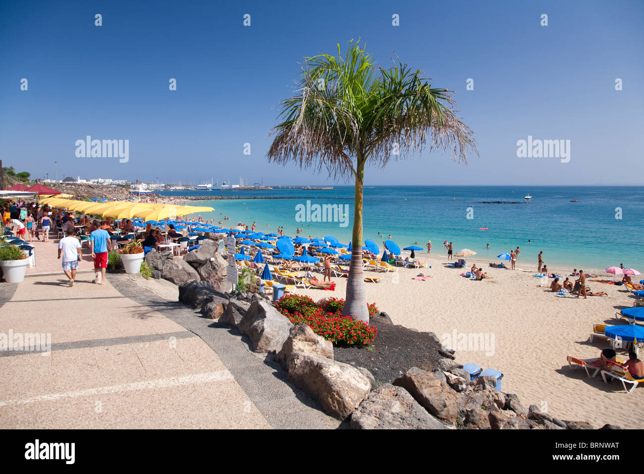 Strand Playa Dorada, Playa Blanca, Lanzarote Stockfoto